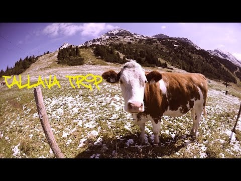 Chipsi ft Valton - Tallava Trip