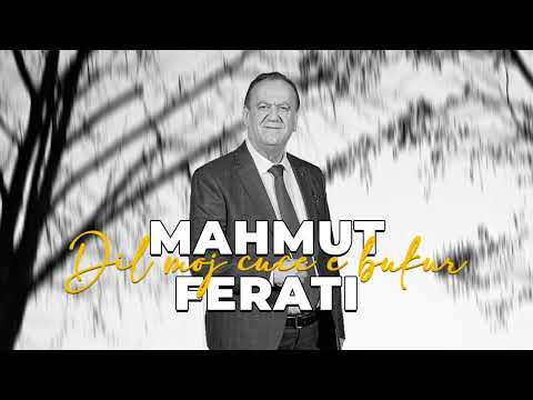 Mahmut Ferati - Dil moj cuce e bukur