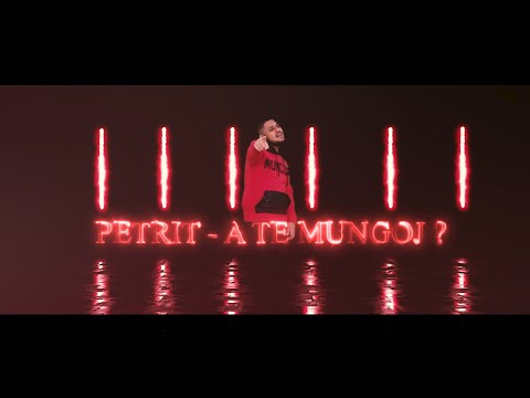 Petrit - A te mungoj