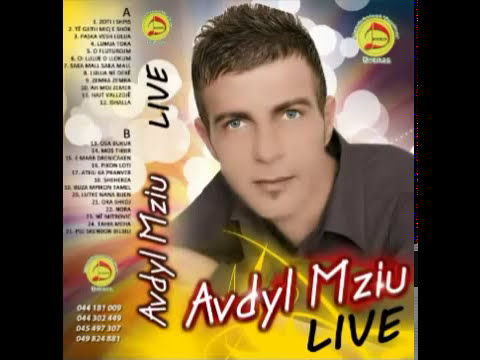 Avdyl Mziu - Ah Moj Zemer 