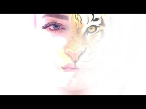 Ronela Hajati - Tiger