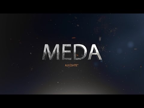 Meda-Live8