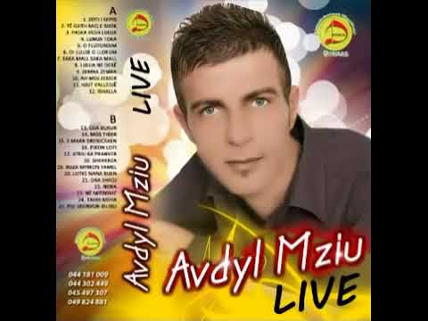 Avdyl Mziu -  Lumja Toka 