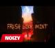 Noizy - Fresh Like Mint