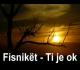 Fisniket - Ti Je Ok